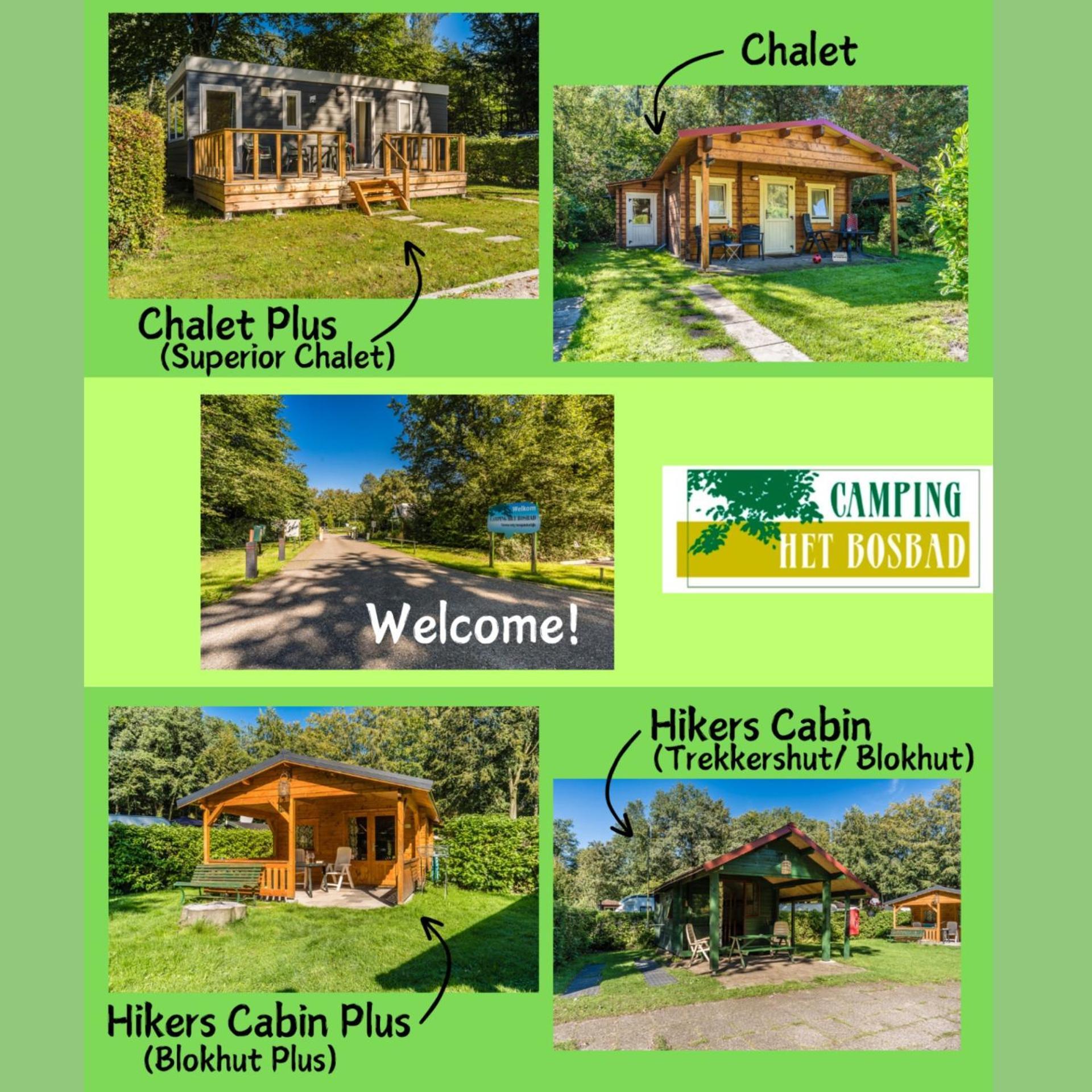 אמלורד Camping Het Bosbad מראה חיצוני תמונה